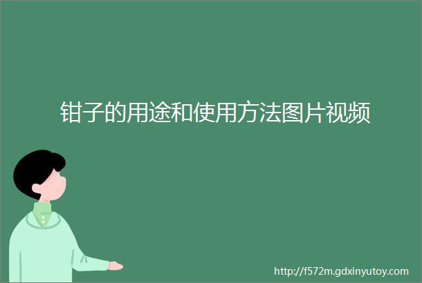 钳子的用途和使用方法图片视频