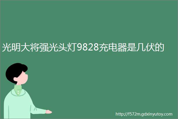 光明大将强光头灯9828充电器是几伏的