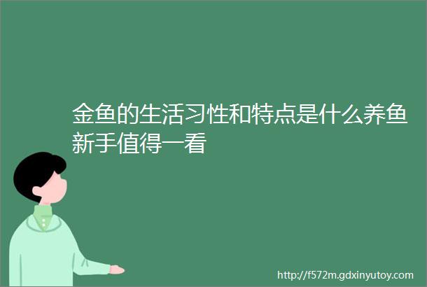 金鱼的生活习性和特点是什么养鱼新手值得一看