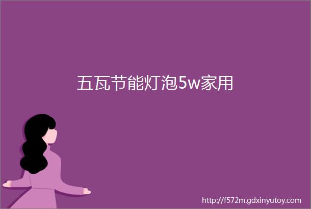 五瓦节能灯泡5w家用