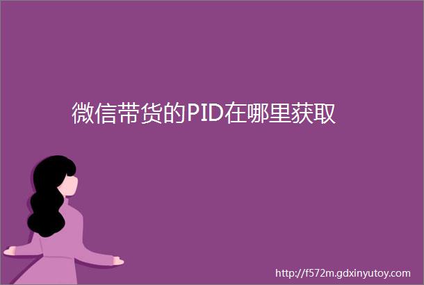 微信带货的PID在哪里获取