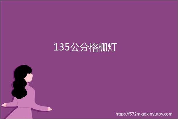 135公分格栅灯