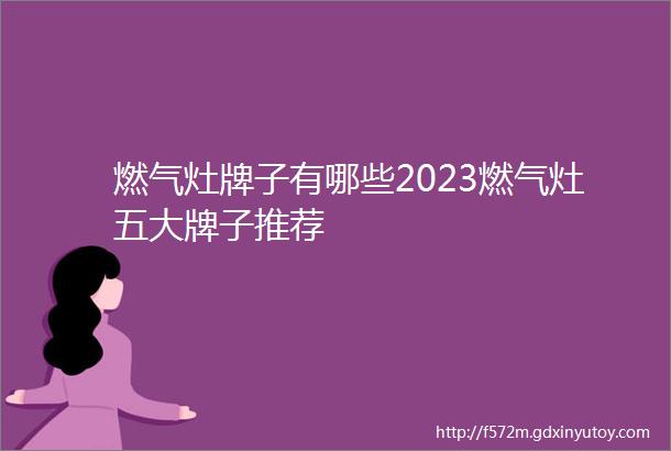 燃气灶牌子有哪些2023燃气灶五大牌子推荐