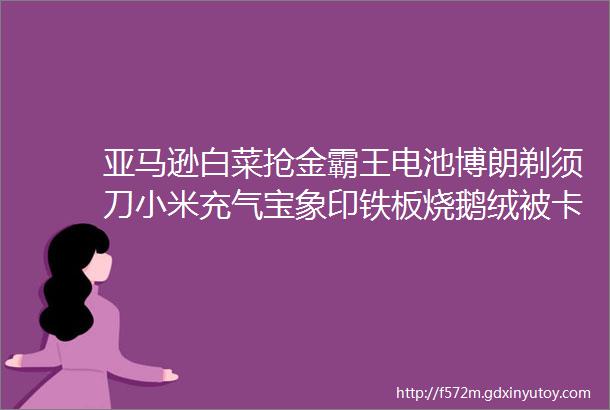 亚马逊白菜抢金霸王电池博朗剃须刀小米充气宝象印铁板烧鹅绒被卡拉OK机