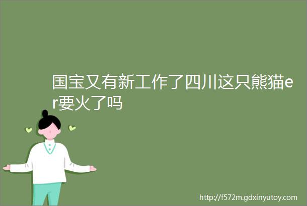 国宝又有新工作了四川这只熊猫er要火了吗