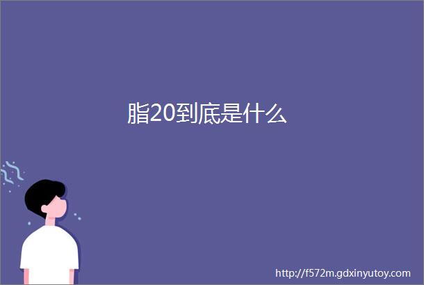 脂20到底是什么