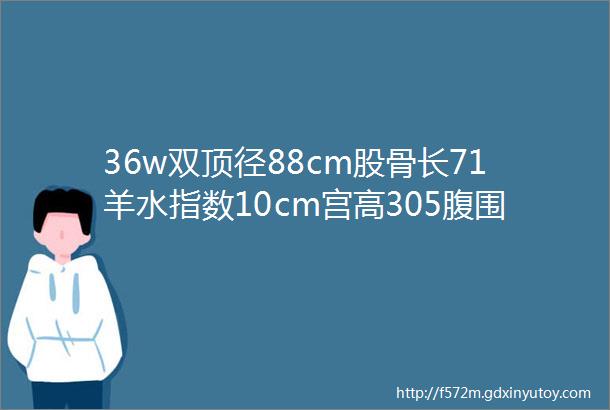 36w双顶径88cm股骨长71羊水指数10cm宫高305腹围103宝宝