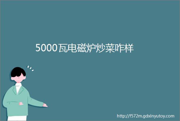 5000瓦电磁炉炒菜咋样